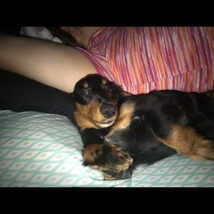 Meet your Posher, John